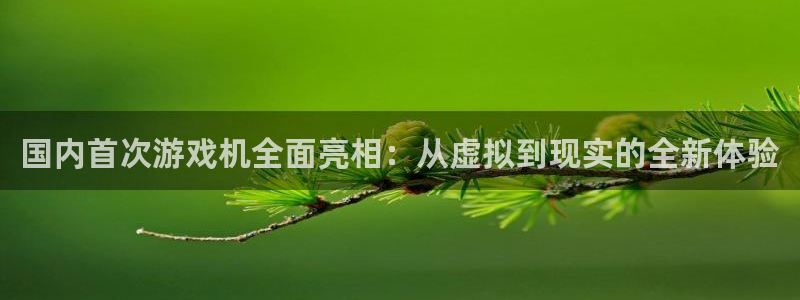 杏耀的所有小说：国内首次游戏机全面亮相：从虚拟到现实的全新体验