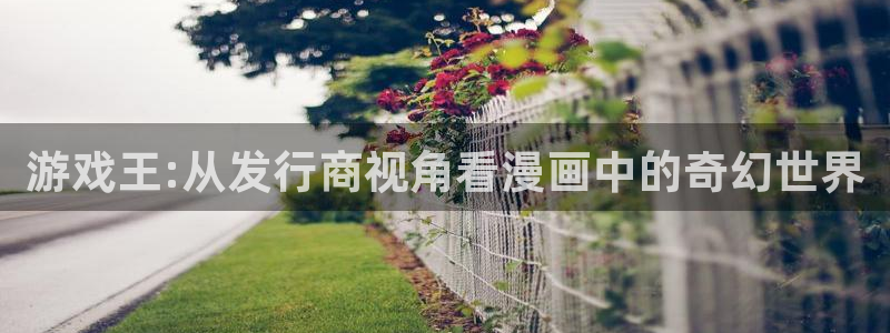 深圳市杏耀科技有限招聘公司：游戏王:从发行商视角看漫画中的奇幻世界