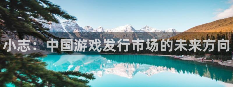 杏耀官网代理注册不了：小志：中国游戏发行市场的未来方向