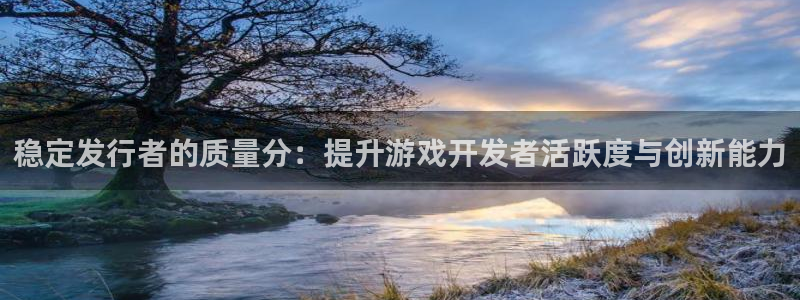苏州杏耀网络科技有限公司：稳定发行者的质量分：提升游戏开发者活跃度与创新能力