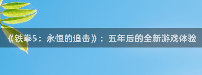 杏耀官网登录注册失败怎么办：《铁拳5：永恒的追击》：五年后的全新游戏体验
