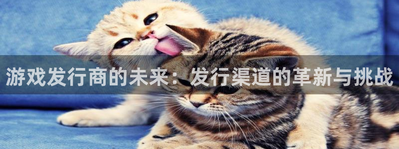 杏耀官网平台代理条件如何：游戏发行商的未来：发行渠道的革新与挑战