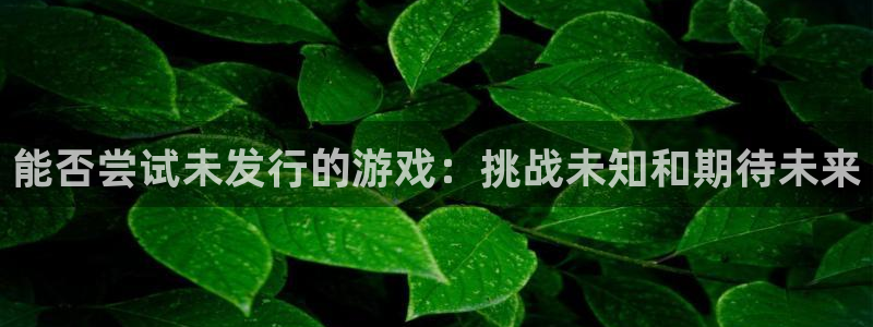杏耀环境：能否尝试未发行的游戏：挑战未知和期待未来