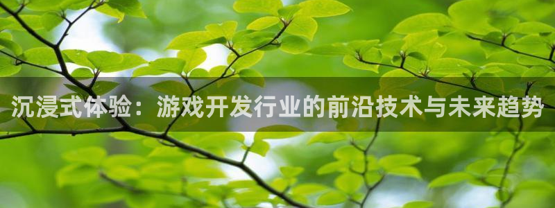 杏耀子上市了吗：沉浸式体验：游戏开发行业的前沿技术与未来趋势