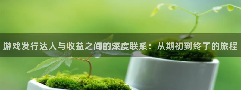 杏耀超纯啤酒怎么样：游戏发行达人与收益之间的深度联系：从期初到终了的旅程