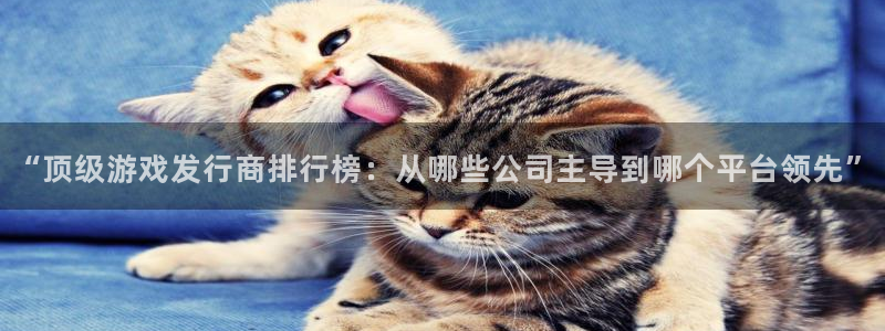 杏耀服装品牌：“顶级游戏发行商排行榜：从哪些公司主导到哪个平台领先”