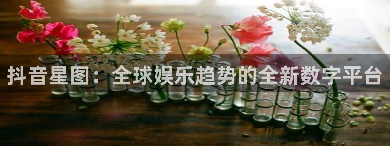 杏耀官网平台注册账号注意事项：抖音星图：全球娱乐趋势的全新数字平台