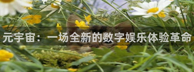 杏耀官网注册平台登录入口：元宇宙：一场全新的数字娱乐体验革命