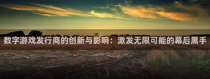 杏耀官网登录注册账号失败怎么办：数字游戏发行商的创新与影响：激发无限可能的幕后黑手