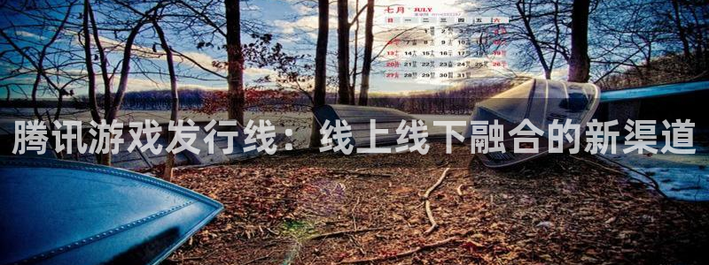 lvnces杏耀衣服价格：腾讯游戏发行线：线上线下融合的新渠道