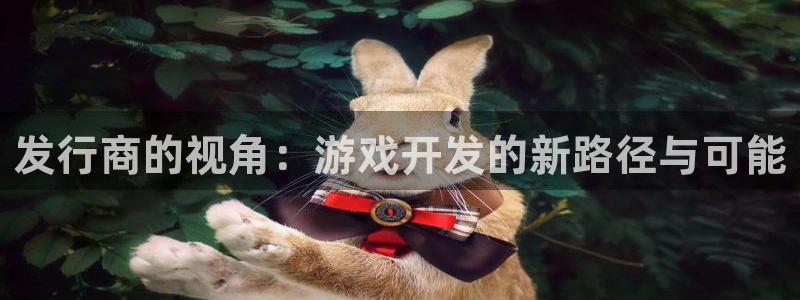 杏耀官网平台怎么样可靠吗：发行商的视角：游戏开发的新路径与可能