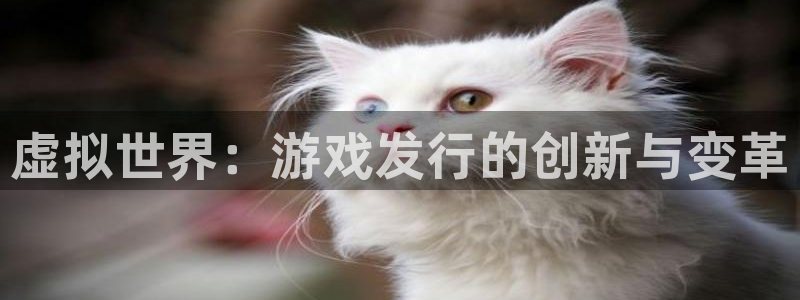陕西杏耀子文化创意是干什么的：虚拟世界：游戏发行的创新与变革