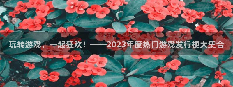 广州杏耀电子商务：玩转游戏，一起狂欢！——2023年度热门游戏发行梗大集合