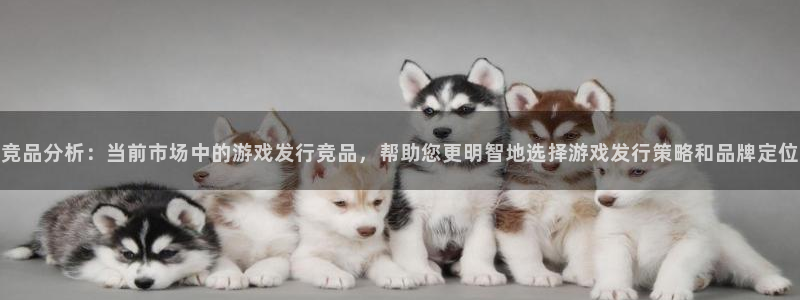 杏耀官网平台合法吗：竞品分析：当前市场中的游戏发行竞品，帮助您更明智地选择游戏发行策略和品牌定位